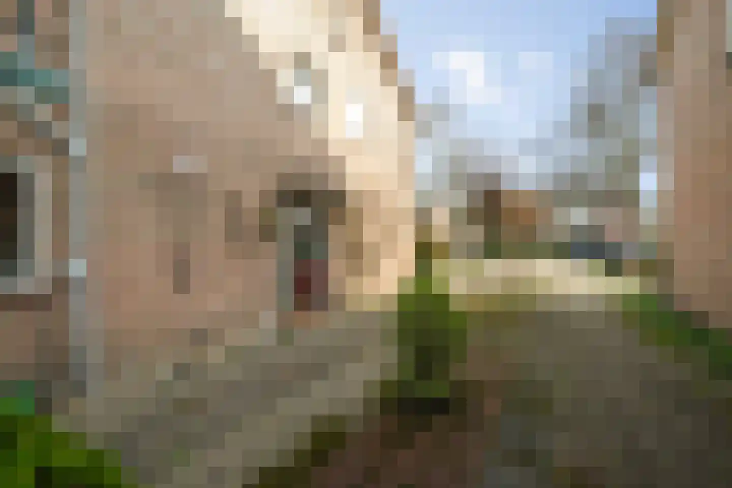 Prinses Ireneweg 4 Schalkhaar thumbnail 39