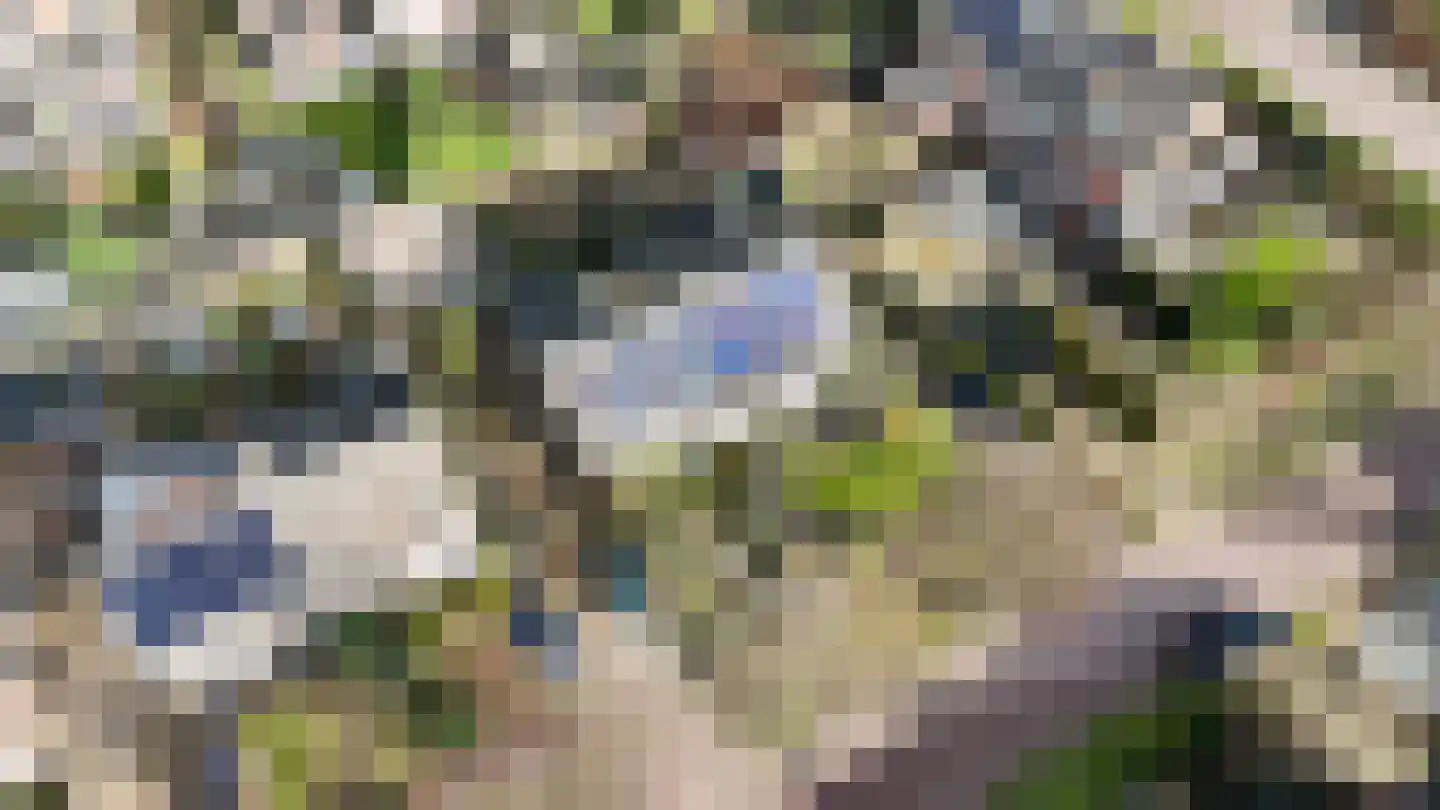 Prinses Ireneweg 4 Schalkhaar thumbnail 44
