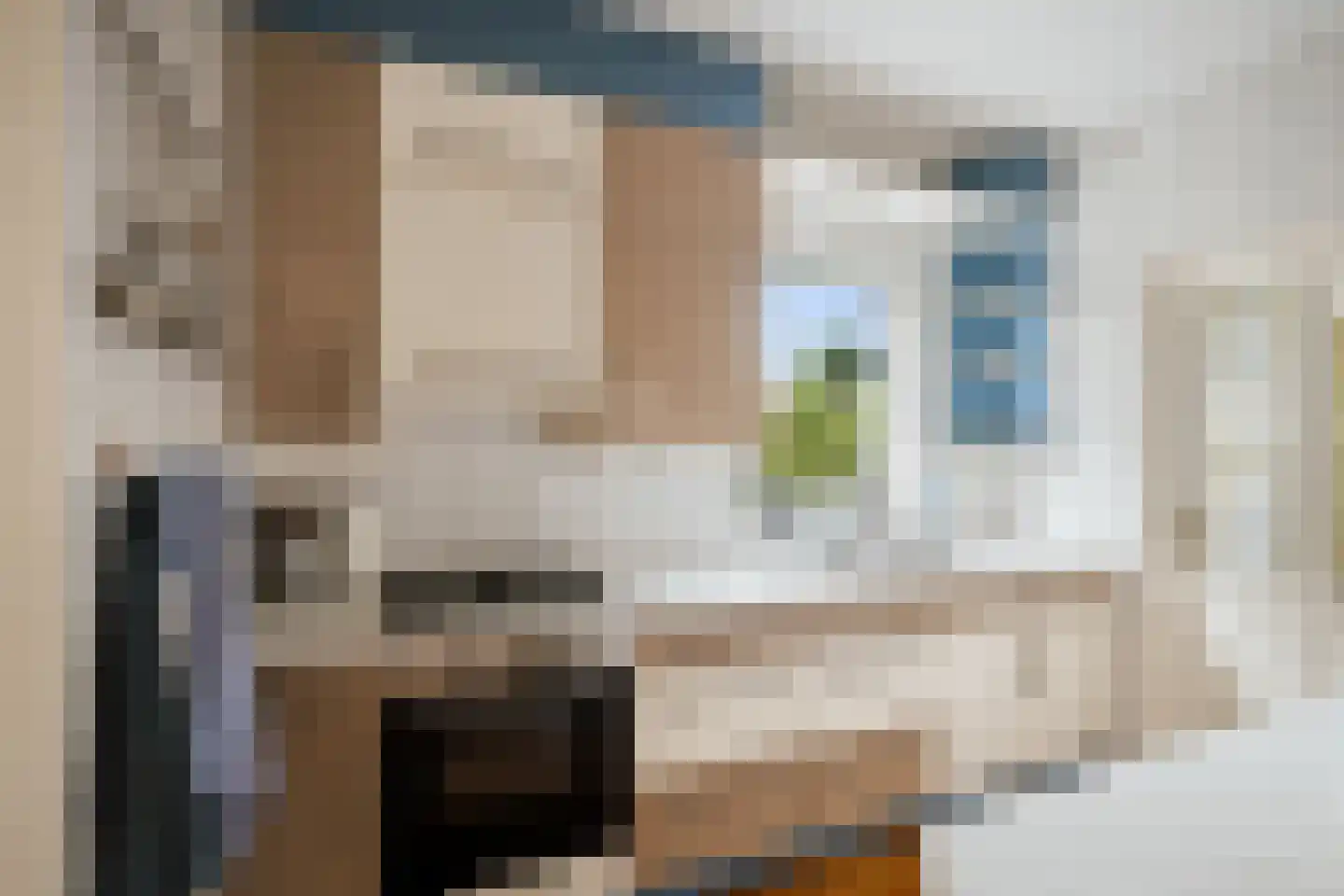 Prinses Ireneweg 4 Schalkhaar thumbnail 9