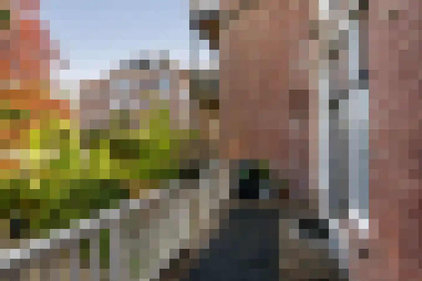 Prinses Julianalaan 70 Rotterdam thumbnail 18