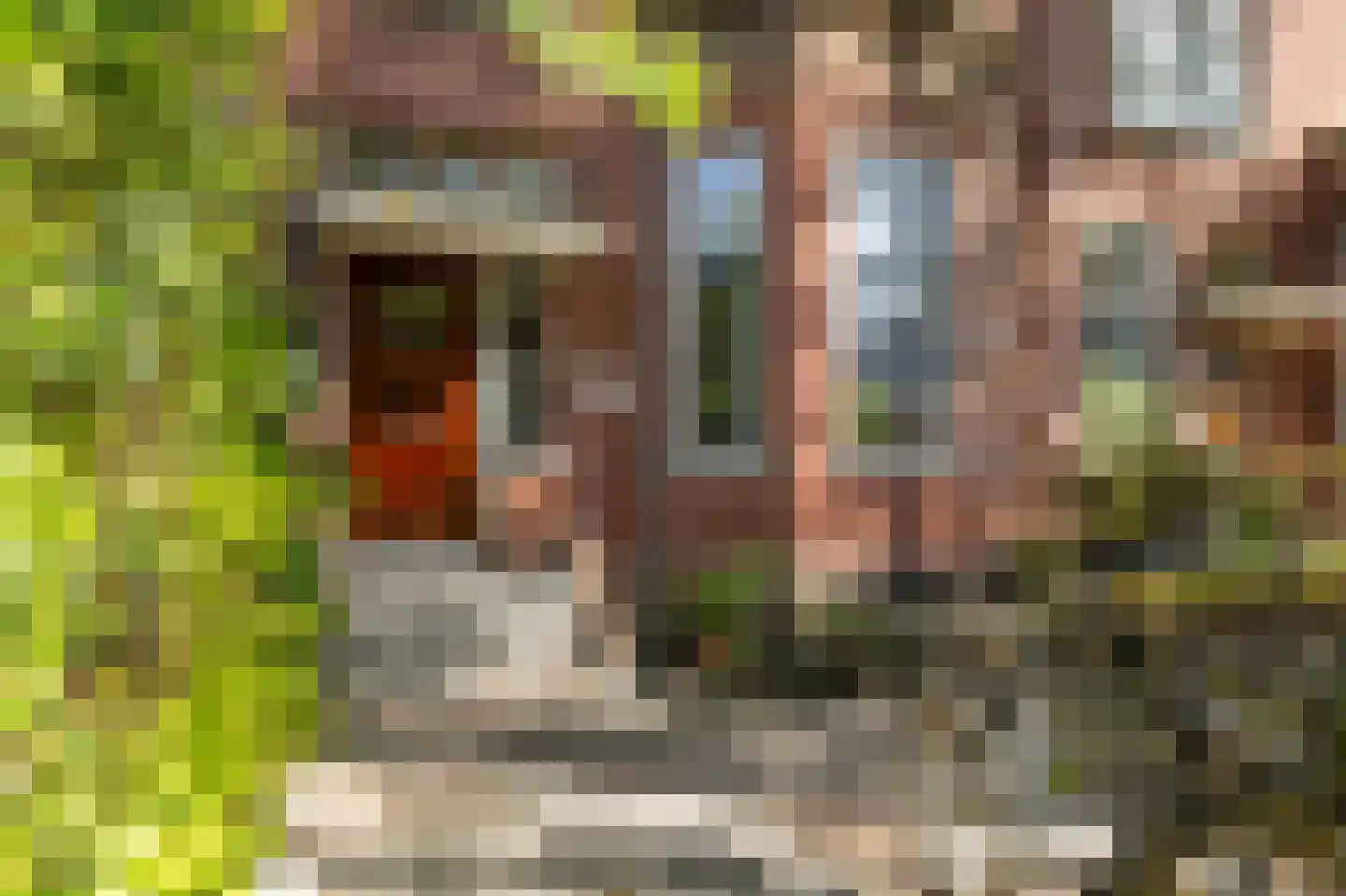 Prinses Julianalaan 70 Rotterdam thumbnail 6