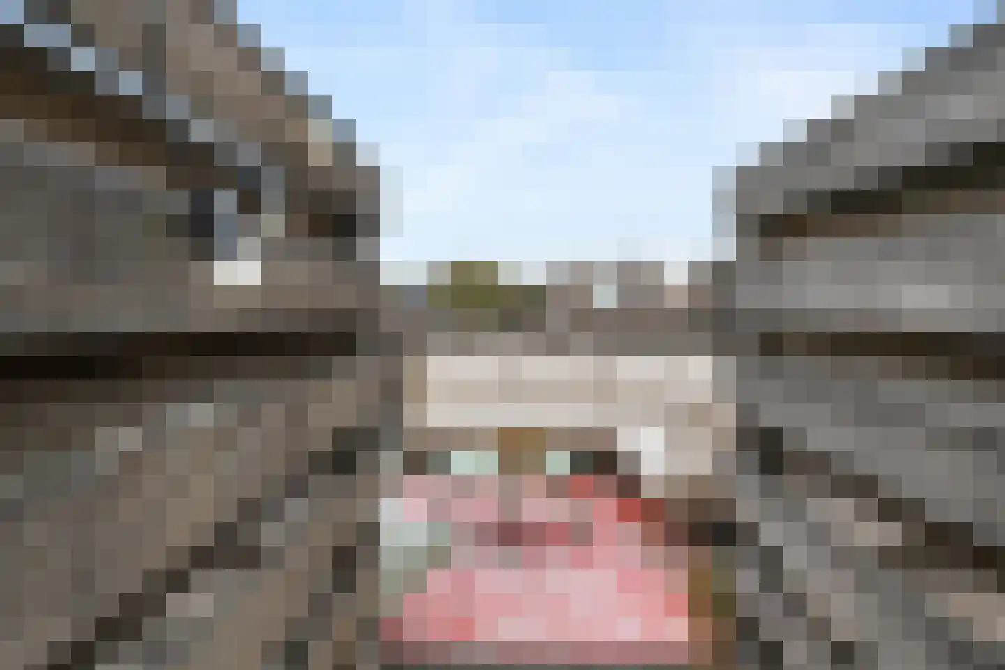 Prinses Julianalaan 71 B Rotterdam thumbnail 47