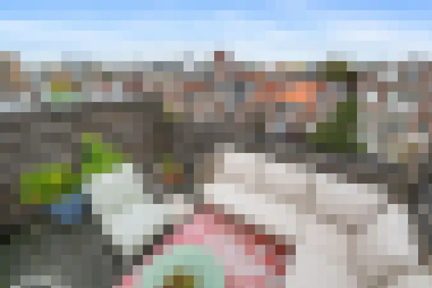 Prinses Julianalaan 71 B Rotterdam thumbnail 50