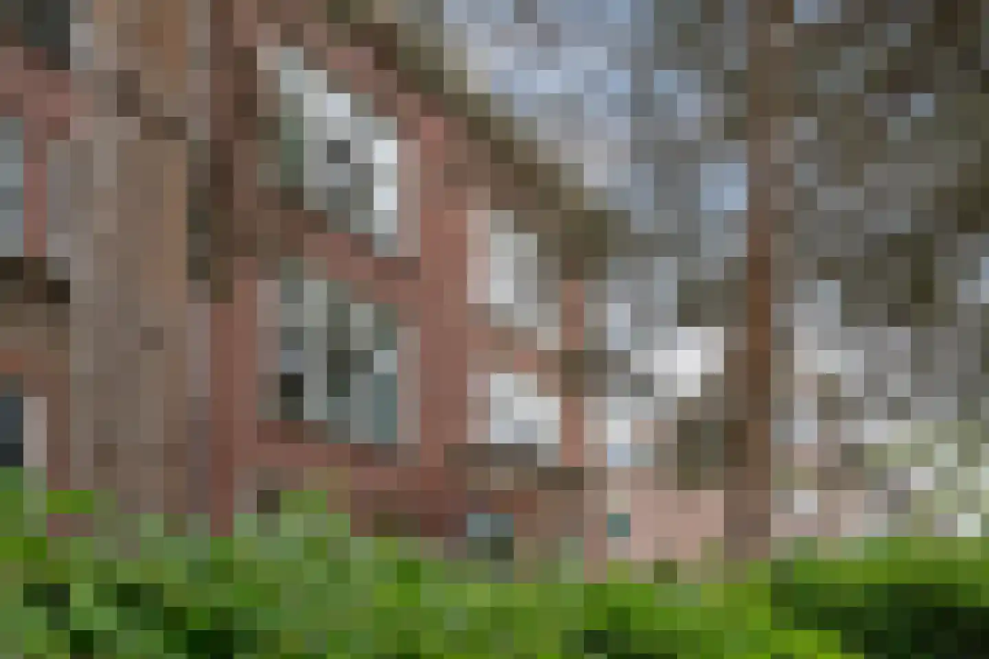 Prinses Julianalaan 72 C Rotterdam thumbnail 33