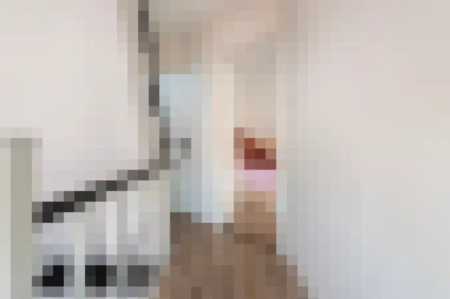 Prinses Julianaplein 4 Goor thumbnail 19