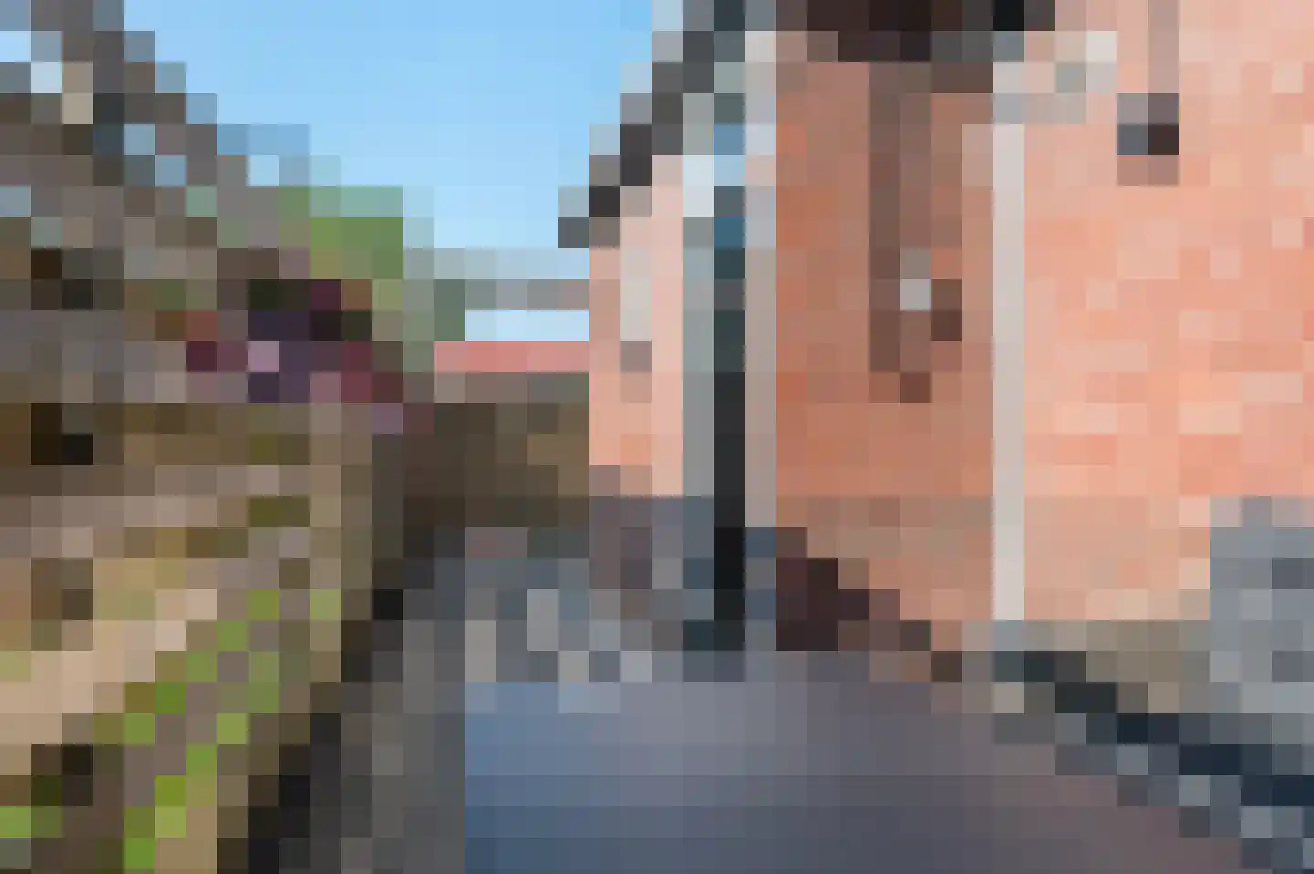 Prinses Julianaplein 4 Goor thumbnail 5