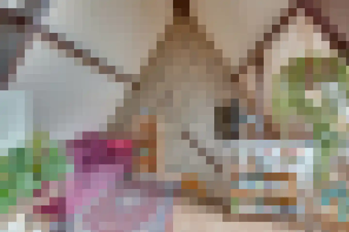 Prinses Julianastraat 1 Hardenberg thumbnail 27