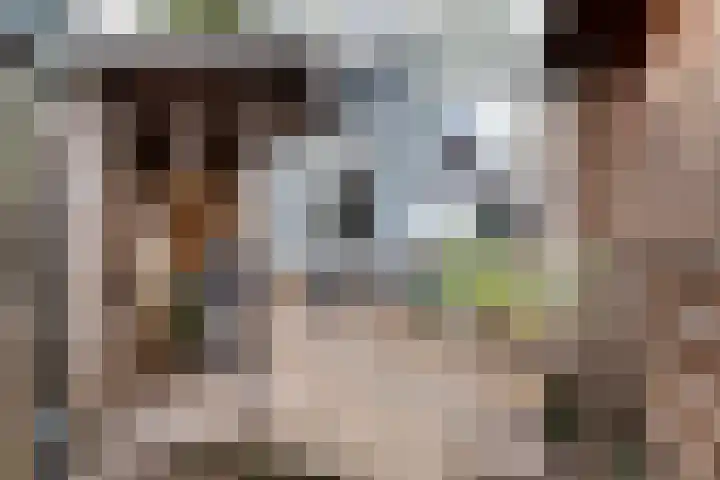 Prinses Julianastraat 2 Gouda thumbnail 32
