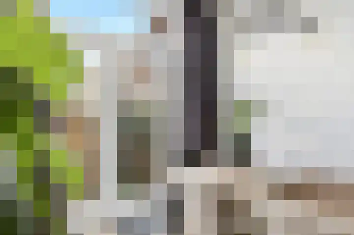 Prinses Julianastraat 2 Gouda thumbnail 4