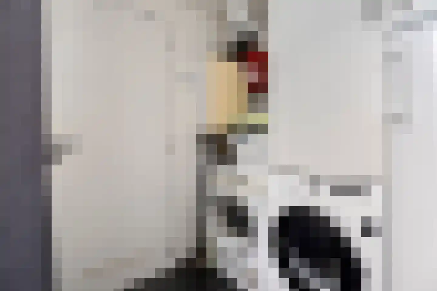 Prinses Julianastraat 31 Breskens thumbnail 15
