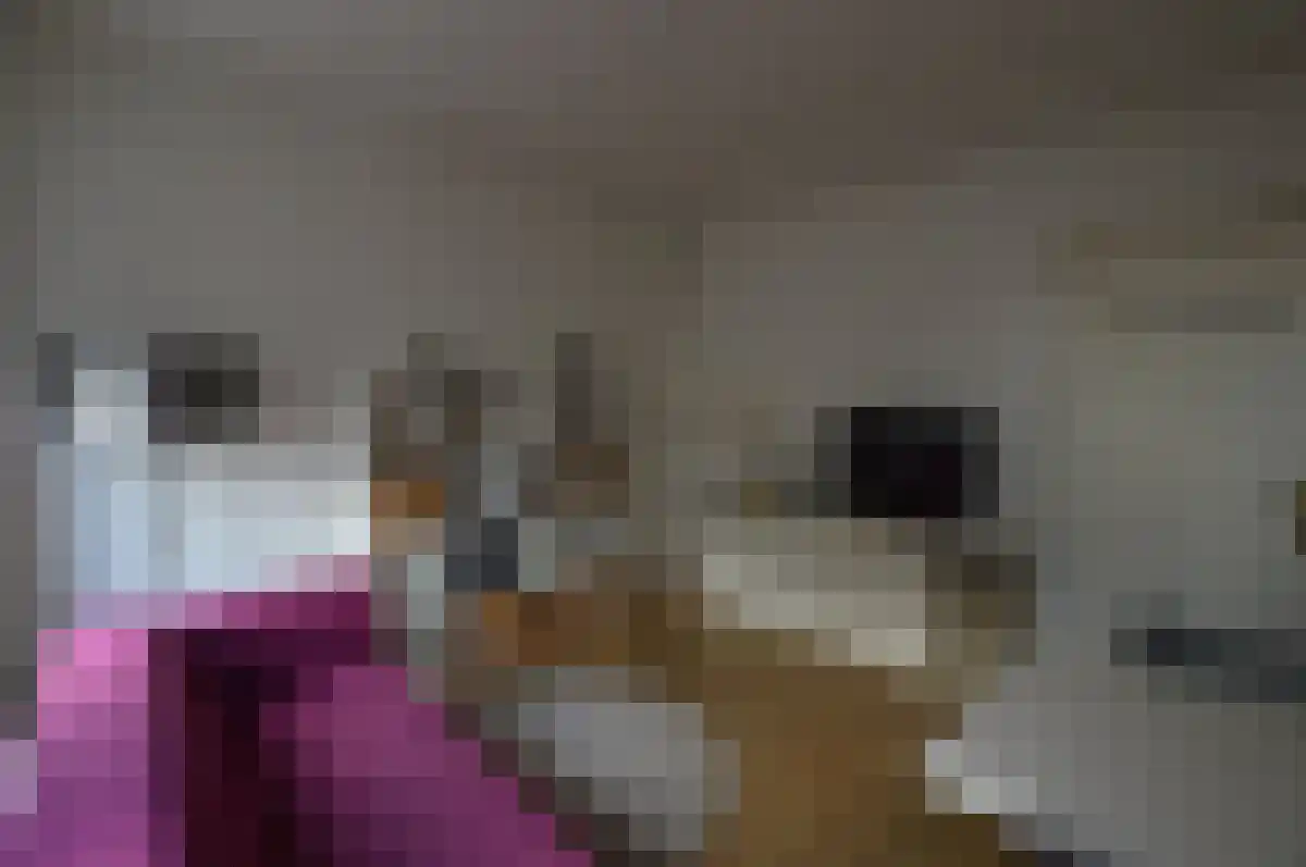 Prinses Julianastraat 5 Zwolle thumbnail 4