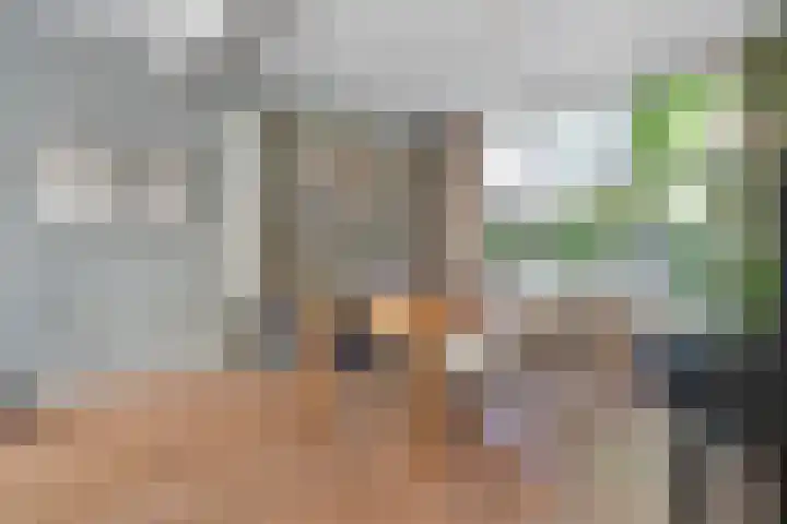 Prinses Julianastraat 50 Zwolle thumbnail 12