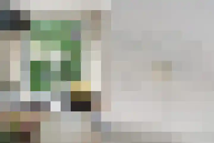 Prinses Julianastraat 50 Zwolle thumbnail 13