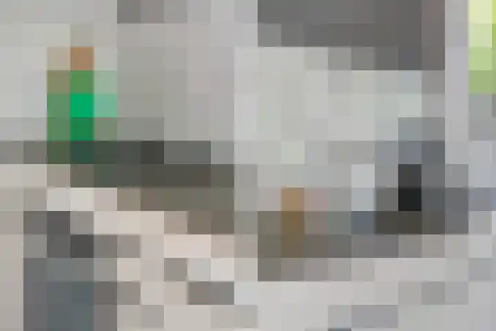 Prinses Julianastraat 50 Zwolle thumbnail 16