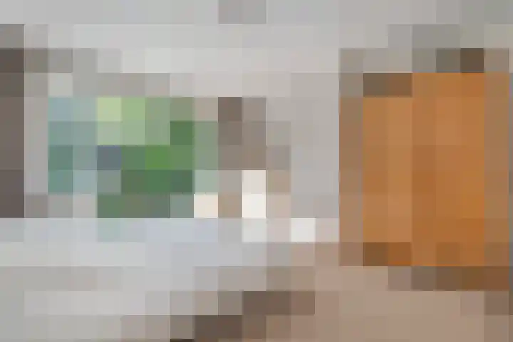 Prinses Julianastraat 50 Zwolle thumbnail 18
