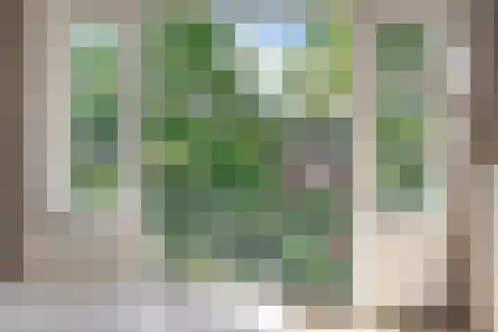Prinses Julianastraat 50 Zwolle thumbnail 20
