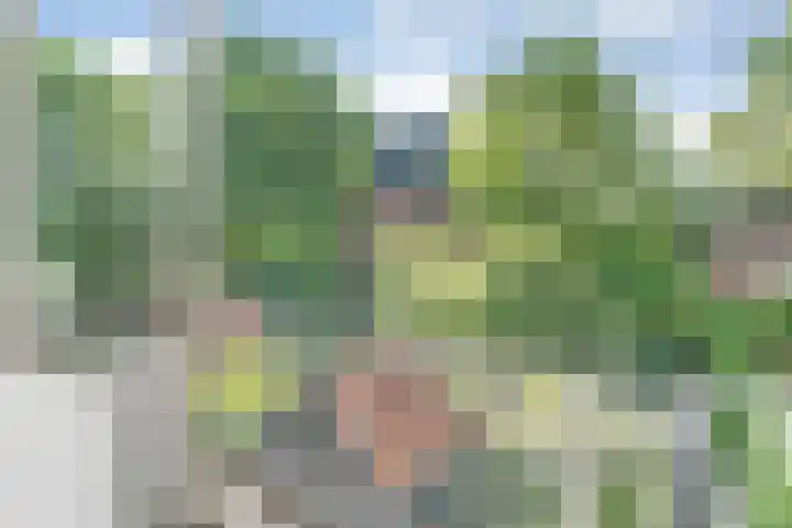 Prinses Julianastraat 50 Zwolle thumbnail 21