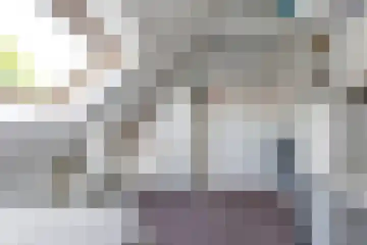 Prinses Julianastraat 50 Zwolle thumbnail 31