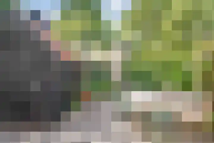 Prinses Julianastraat 50 Zwolle thumbnail 32