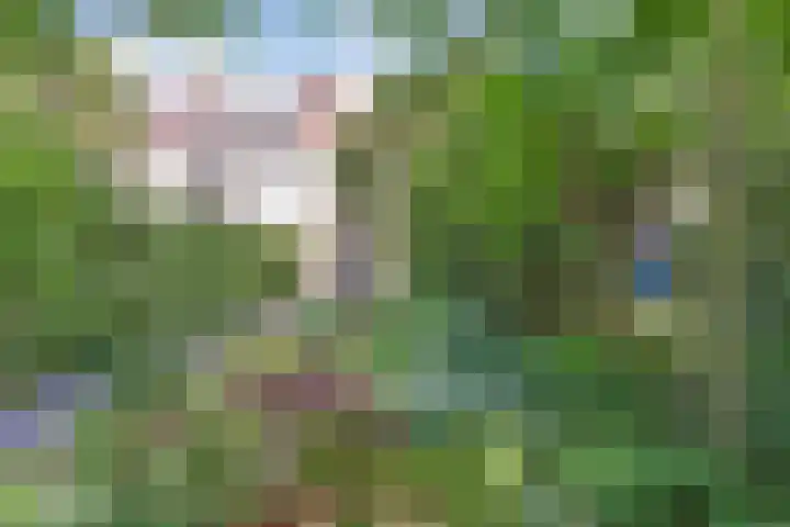 Prinses Julianastraat 50 Zwolle thumbnail 35