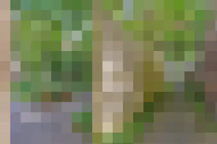 Prinses Julianastraat 50 Zwolle thumbnail 37