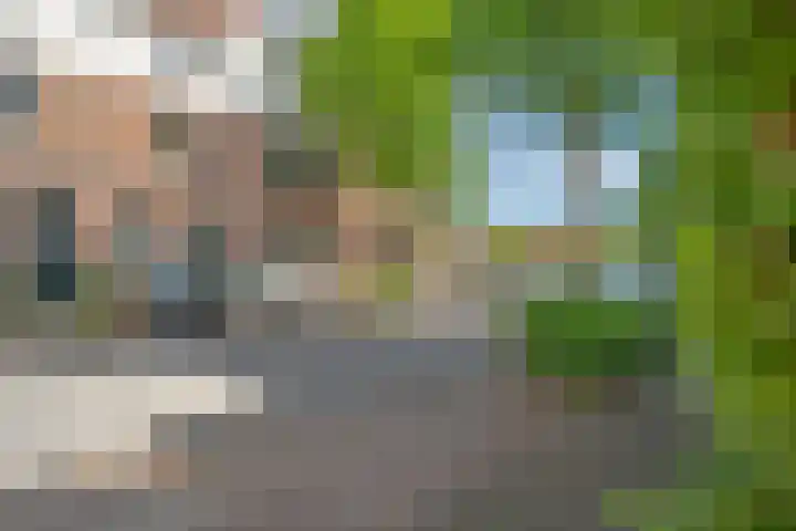 Prinses Julianastraat 50 Zwolle thumbnail 40