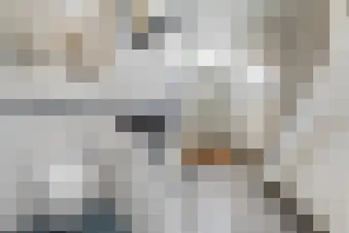 Prinses Julianastraat 50 Zwolle thumbnail 5