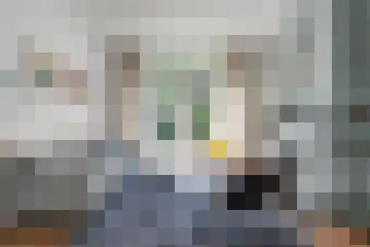 Prinses Julianastraat 50 Zwolle thumbnail 6