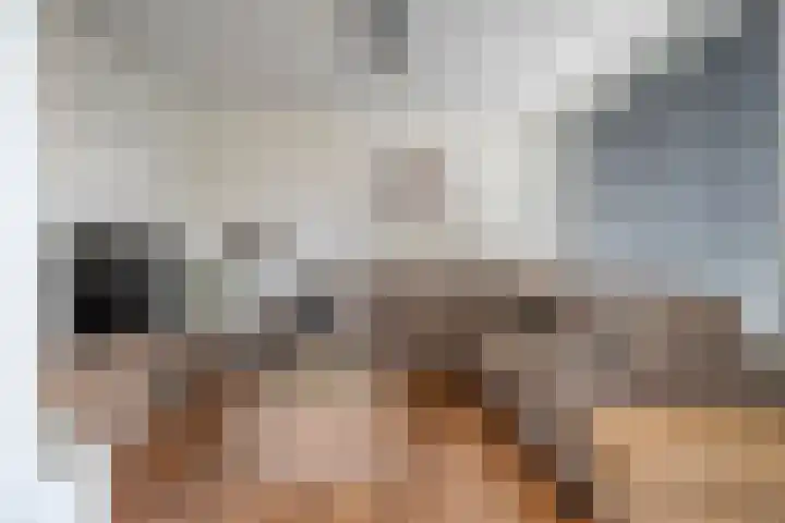 Prinses Julianastraat 7 Ommen thumbnail 14
