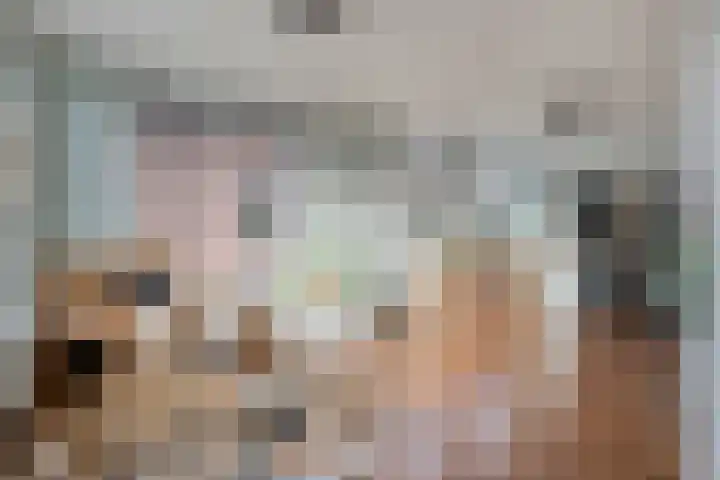Prinses Julianastraat 7 Ommen thumbnail 16