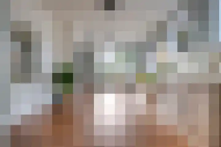 Prinses Julianastraat 7 Ommen thumbnail 17