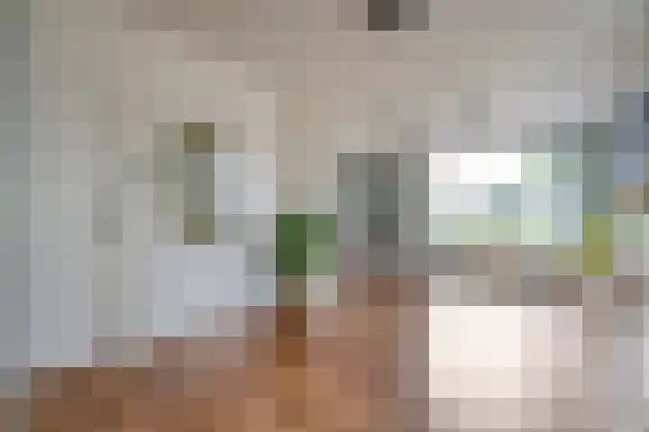 Prinses Julianastraat 7 Ommen thumbnail 18