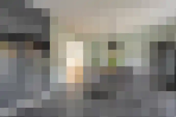 Prinses Julianastraat 7 Ommen thumbnail 20