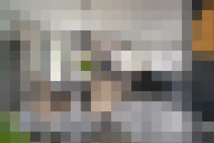 Prinses Julianastraat 7 Ommen thumbnail 21
