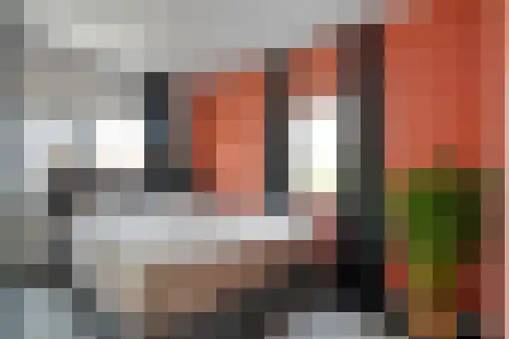 Prinses Julianastraat 7 Ommen thumbnail 26