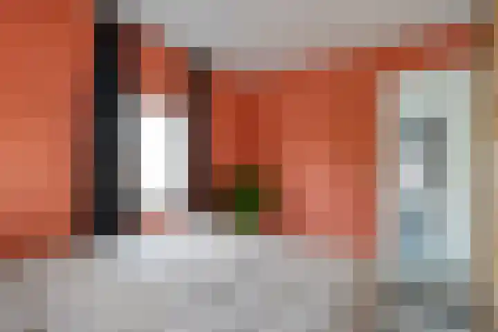 Prinses Julianastraat 7 Ommen thumbnail 27