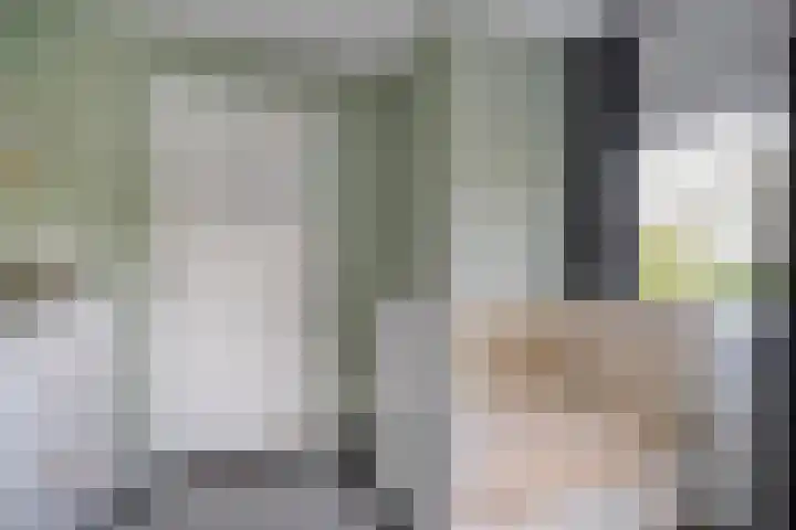 Prinses Julianastraat 7 Ommen thumbnail 28