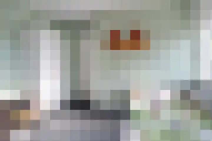 Prinses Julianastraat 7 Ommen thumbnail 33