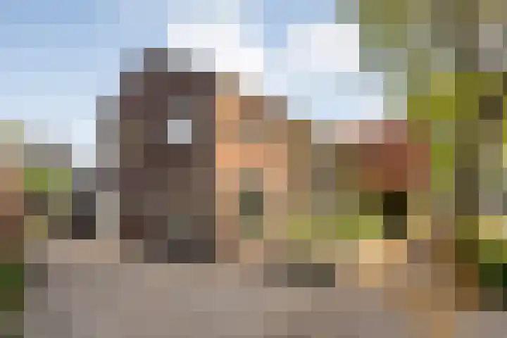 Prinses Julianastraat 7 Ommen thumbnail 4