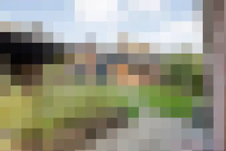 Prinses Julianastraat 7 Ommen thumbnail 41