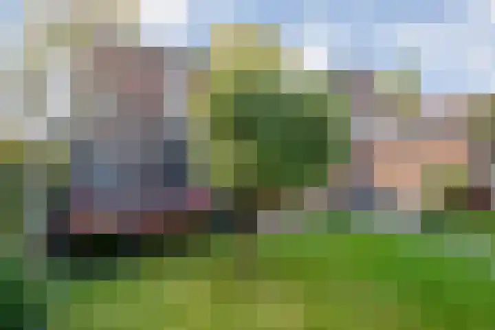 Prinses Julianastraat 7 Ommen thumbnail 43