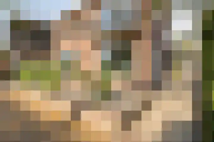 Prinses Julianastraat 7 Ommen thumbnail 7