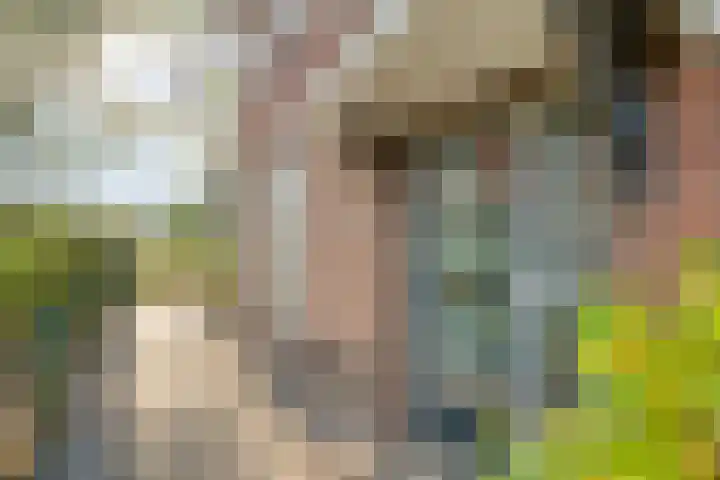 Prinses Julianastraat 7 Ommen thumbnail 9