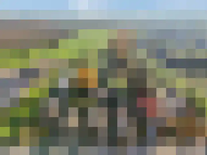 Prinses Julianaweg 13 in Geldermalsen