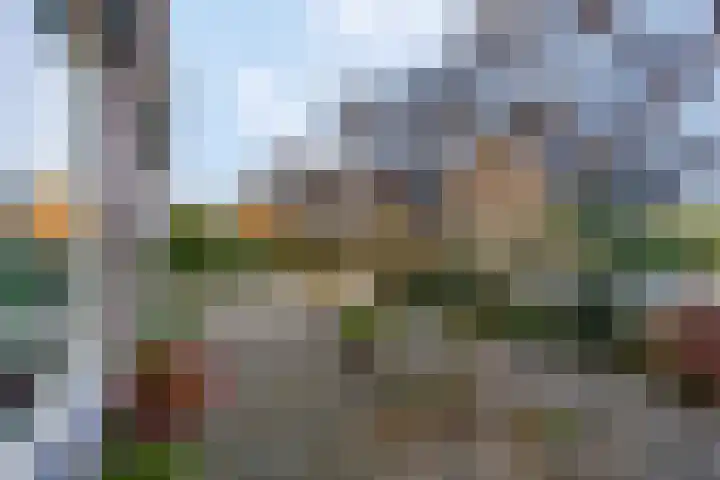 Prinses Julianaweg 13 Geldermalsen thumbnail 11