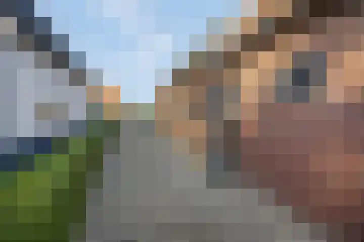 Prinses Julianaweg 13 Geldermalsen thumbnail 13
