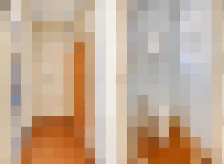 Prinses Julianaweg 13 Geldermalsen thumbnail 20