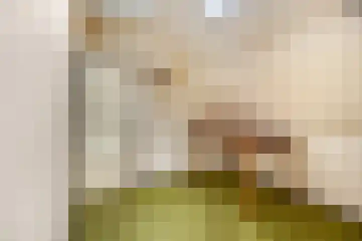 Prinses Julianaweg 13 Geldermalsen thumbnail 37