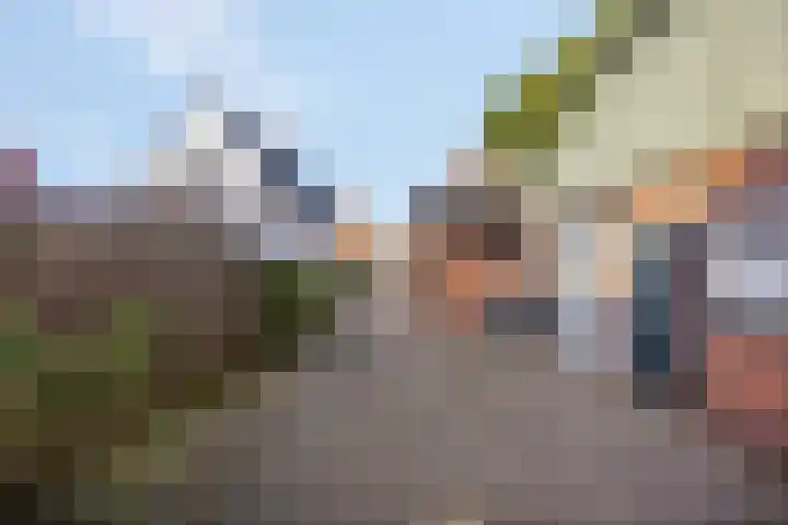Prinses Julianaweg 13 Geldermalsen thumbnail 4