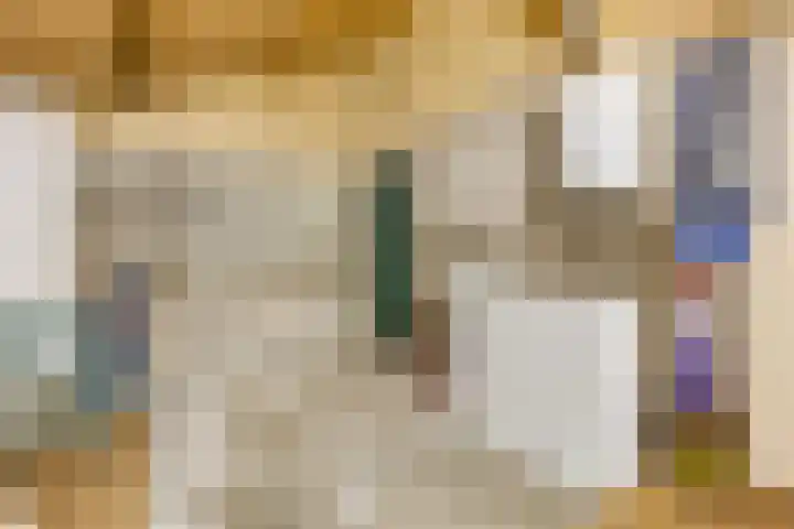 Prinses Julianaweg 13 Geldermalsen thumbnail 41